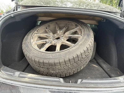 Tesla Model 3 Long-Range Dual Motor AWD 2020, kuva 4/4