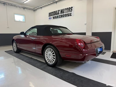 Ford Thunderbird 2004, photo 7/26