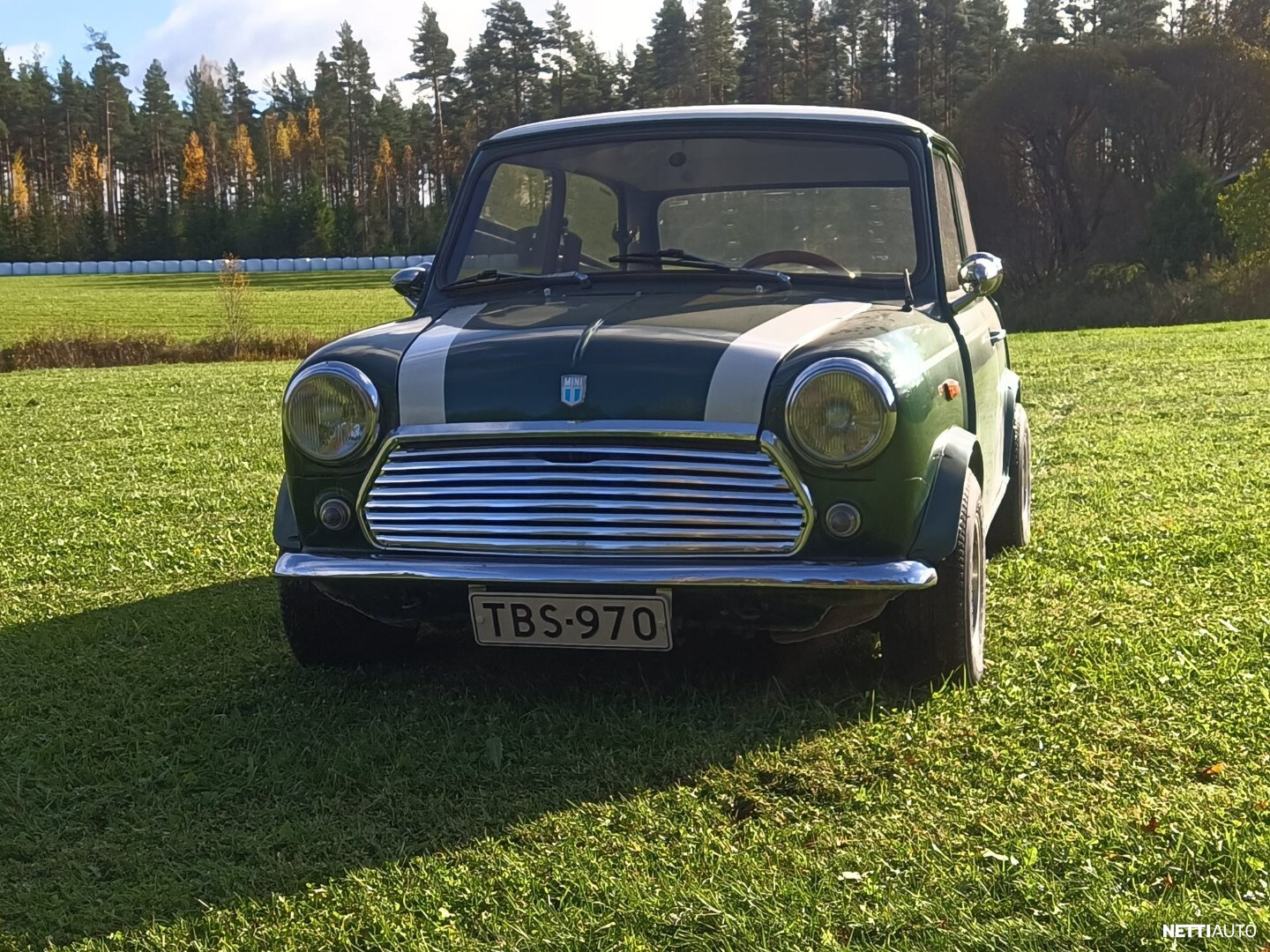 MINI 1300