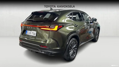 Lexus NX 450h+ AWD Executive 2023, kuva 5/19