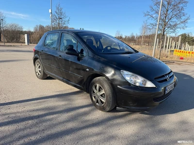 Peugeot 307 2004, kuva 7/8