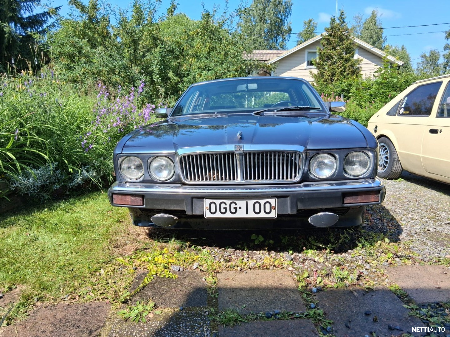 Jaguar Sovereign