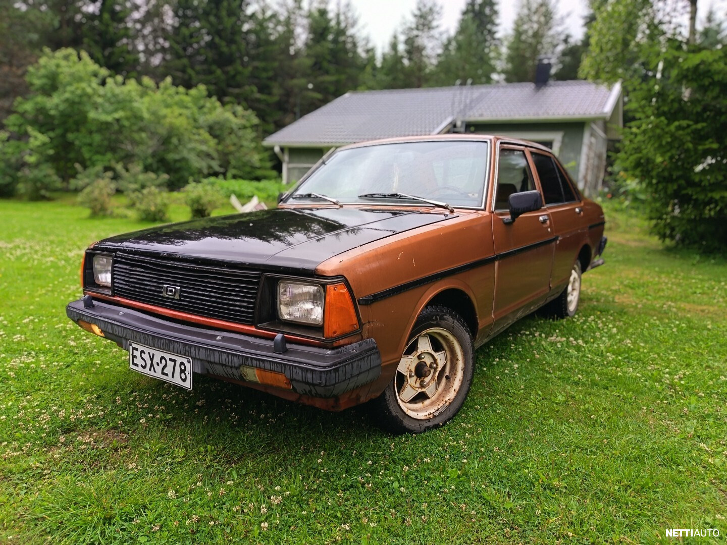 Datsun Sunny