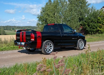 Dodge Ram SRT-10 REG CAB 8.3L V10 VIPER 2004, photo 5/30