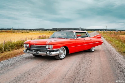 Cadillac De Ville Sedan DeVille 1959, kuva 3/39