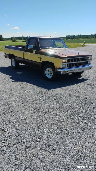Chevrolet Fleetside C10 1981, kuva 2/7