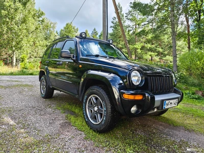 Jeep Cherokee Renegade 2003, kuva 1/13
