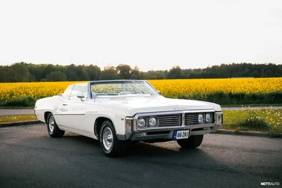 Buick Le Sabre Buick 7.5L V8 1969, photo 3/20