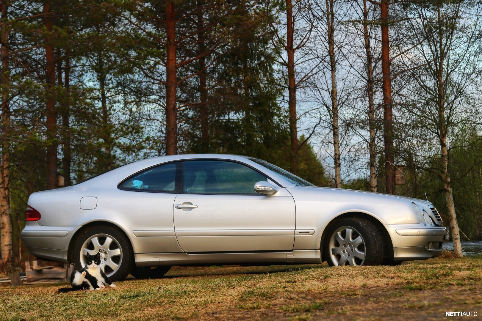Mercedes-Benz CLK 230