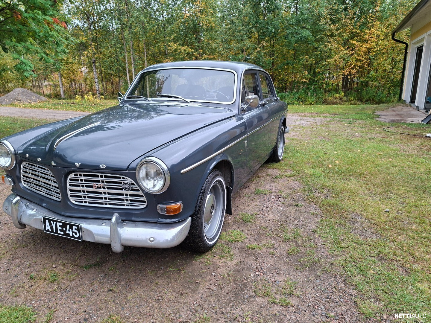 Volvo Amazon