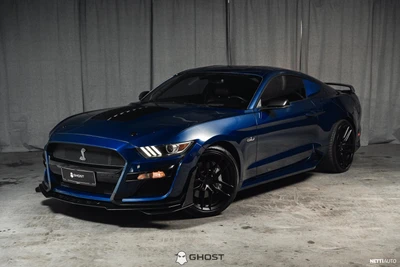 Ford Mustang 5.0 V8 "Shelby GT500"-Look 2015, photo 5/17