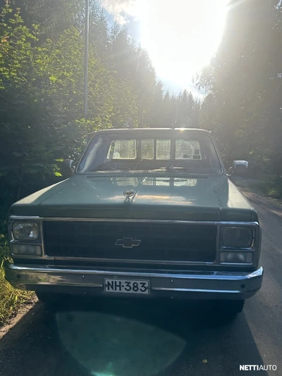 Chevrolet Scottsdale Fleetside Scotsdale 1980, kuva 2/9