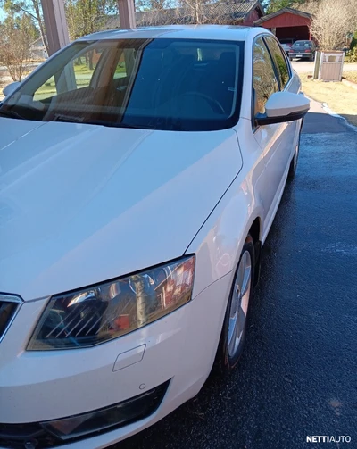 Skoda Octavia 2017, photo 6/22