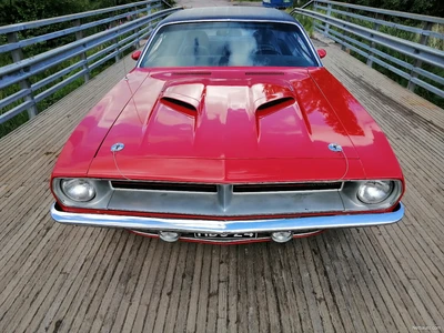 Plymouth Cuda 1970, photo 4/16