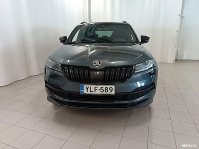 Skoda Karoq 2019, photo 5/33