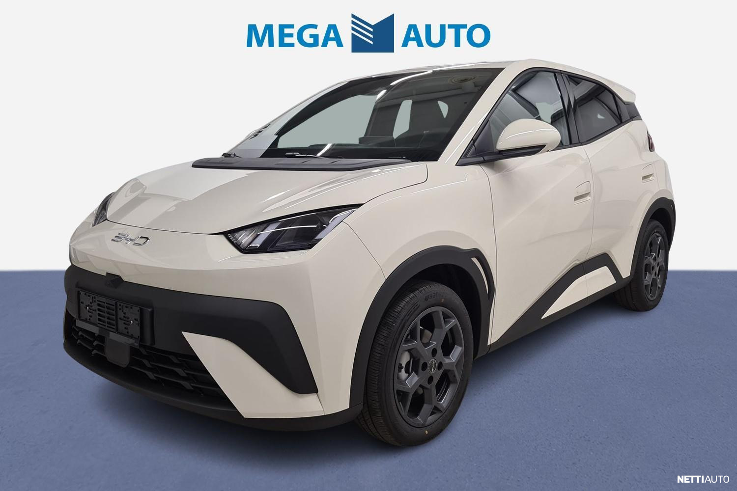 BYD Dolphin Surf