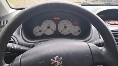 Peugeot 206 4D 206 HATCHBACK 1.4I 2005, kuva 7/11