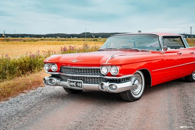 Cadillac De Ville Sedan DeVille 1959, kuva 5/39