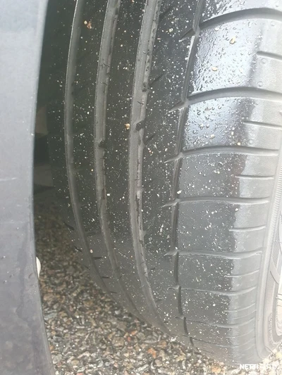 Honda FR-V 2004, kuva 6/8