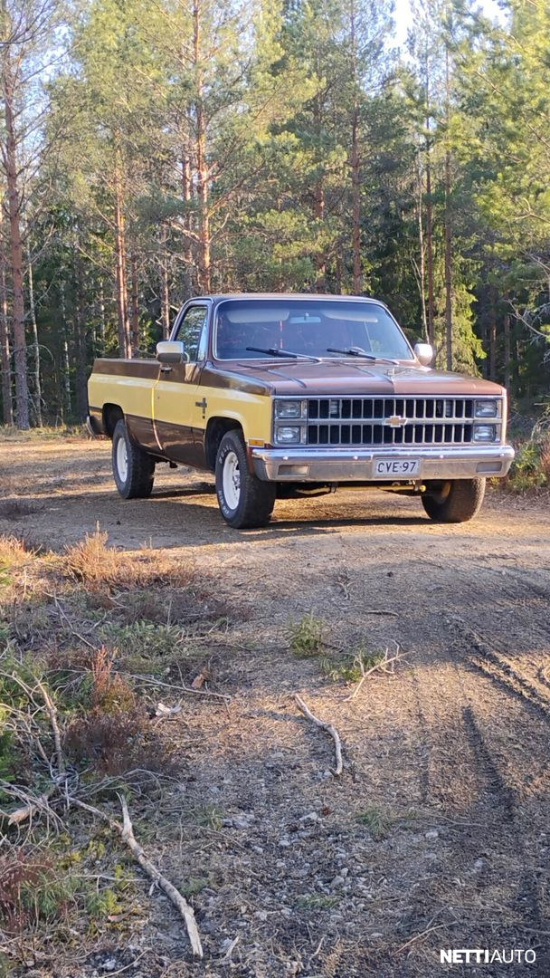 Chevrolet Fleetside