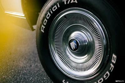 Buick Le Sabre Buick 7.5L V8 1969, photo 5/20