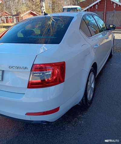 Skoda Octavia 2017, photo 5/22