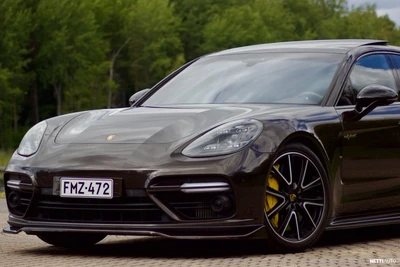 Porsche Panamera Turbo S E-Hybrid 2018, photo 3/18