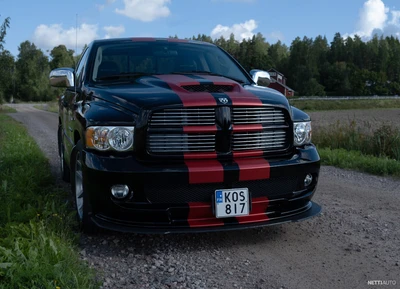 Dodge Ram SRT-10 REG CAB 8.3L V10 VIPER 2004, photo 2/30