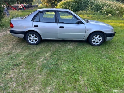 Toyota Corolla 2000, photo 3/12