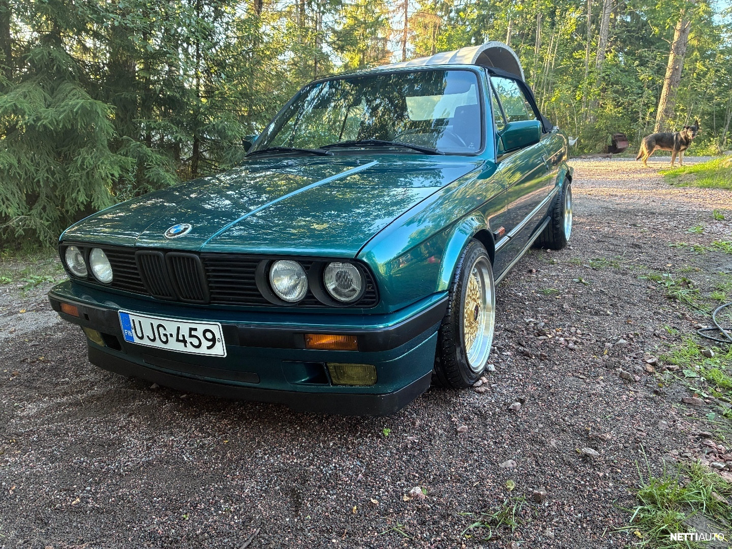 BMW 335