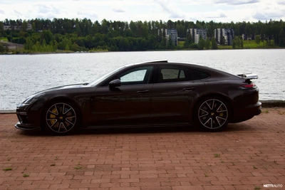 Porsche Panamera Turbo S E-Hybrid 2018, photo 4/18