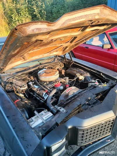 Ford Ranchero 1977, photo 3/8