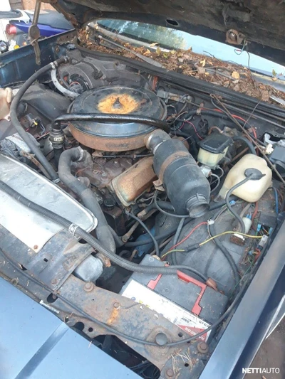 Oldsmobile Cutlass Cutlass cruiser 1980, kuva 5/9