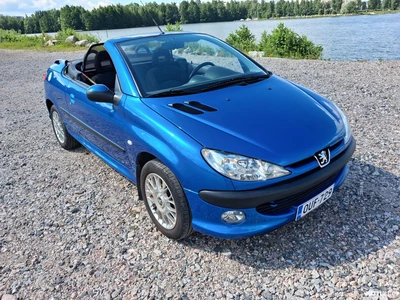 Peugeot 206 2003, photo 8/8