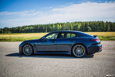 Porsche Panamera S e-Hybrid 2014, photo 4/8