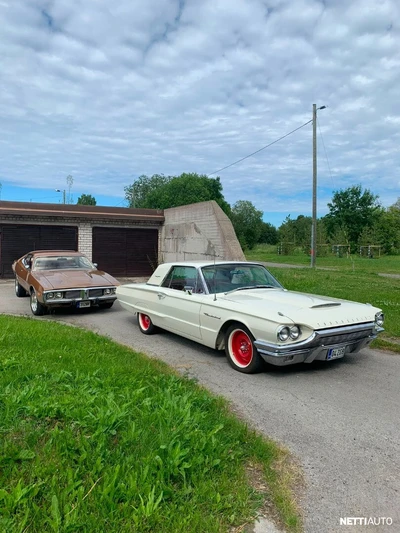 Ford Thunderbird 1964, kuva 6/13