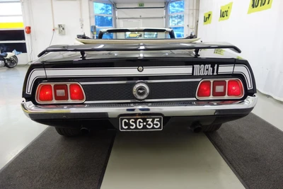Ford Mustang 1972, kuva 6/19
