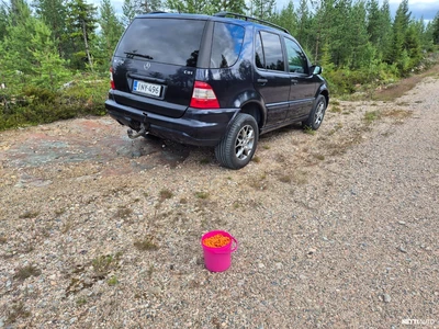 Mercedes-Benz 270 ML 270 CDI 2003, kuva 6/10