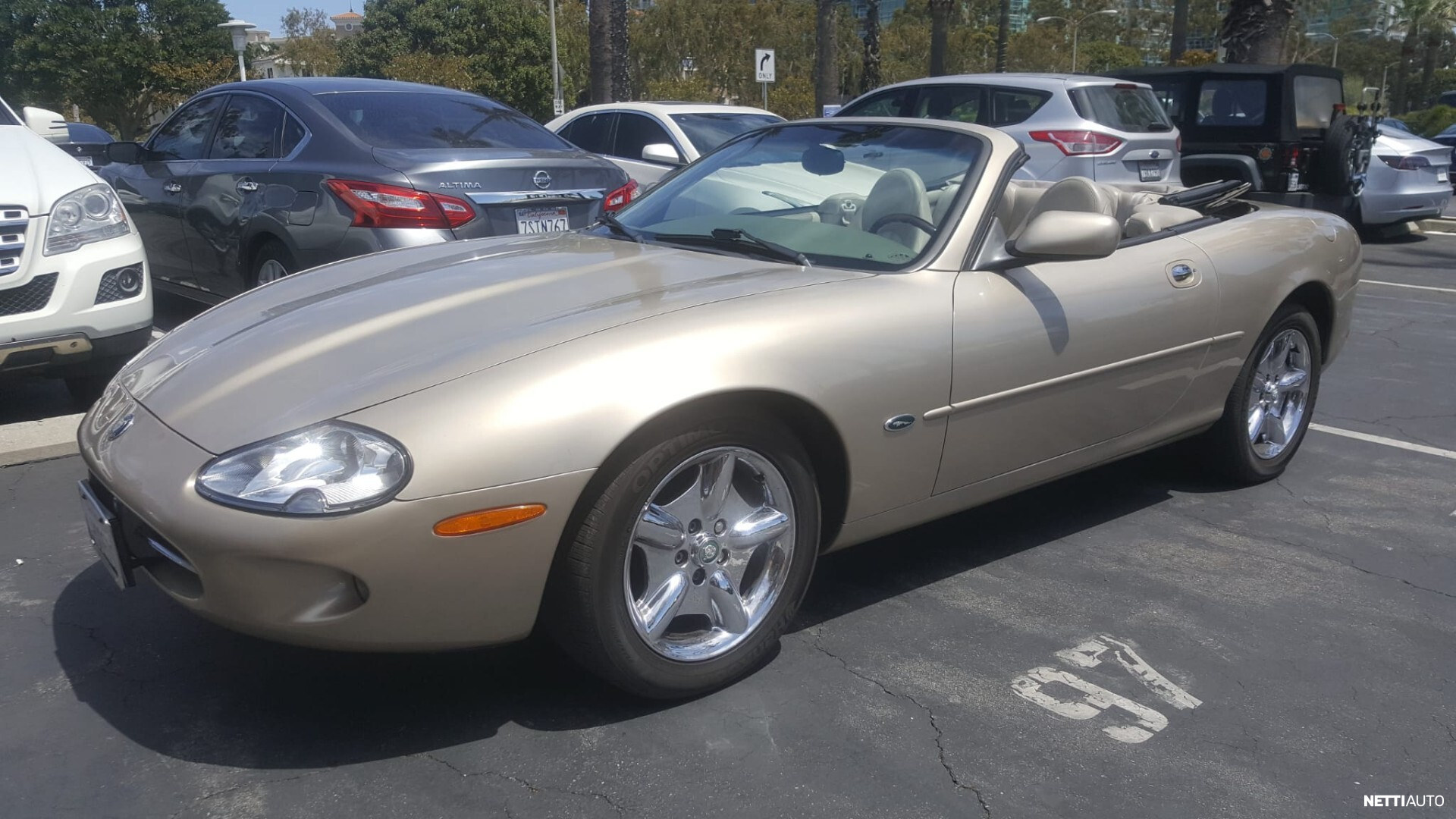 Jaguar XK8