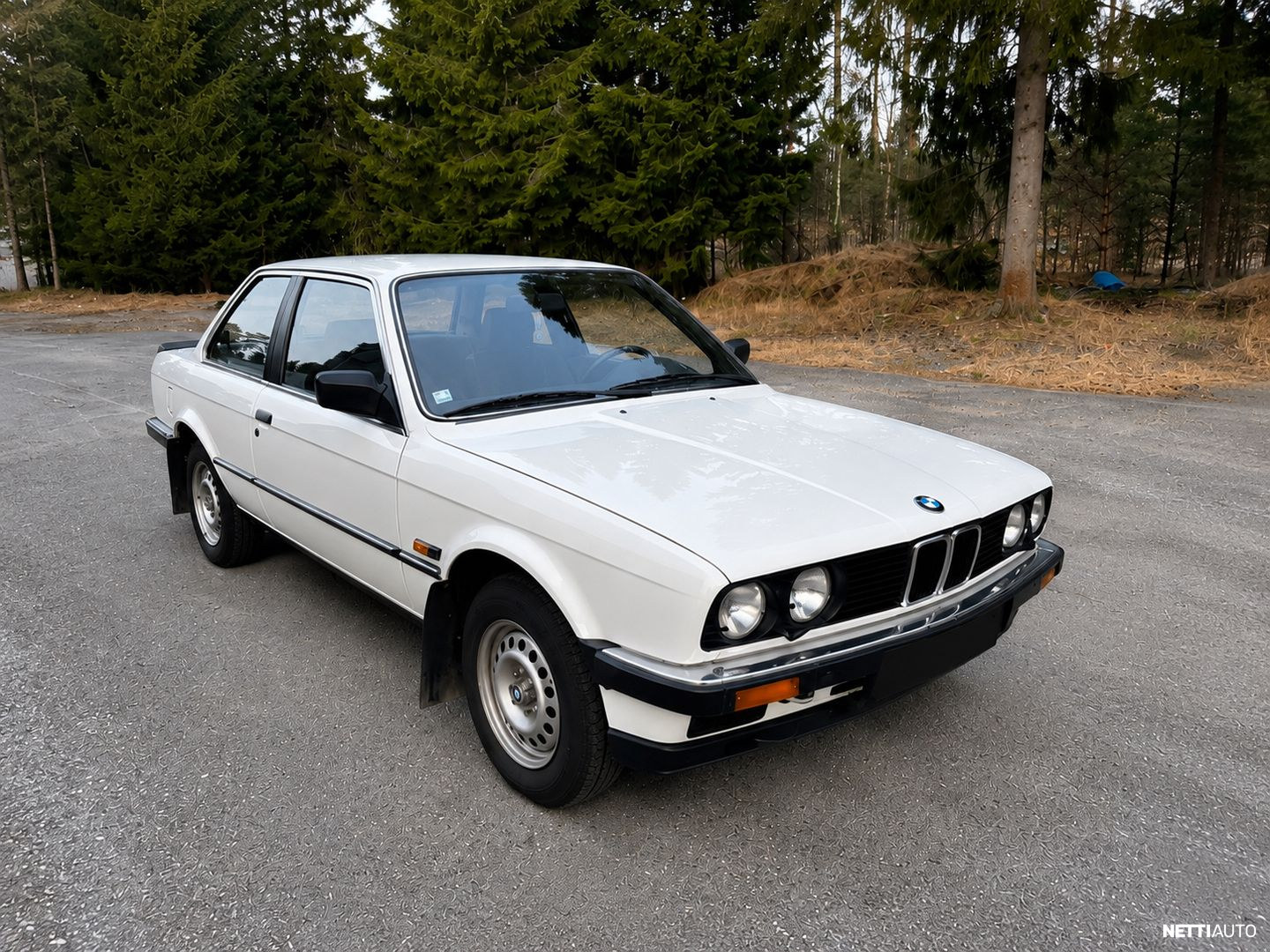 BMW 316