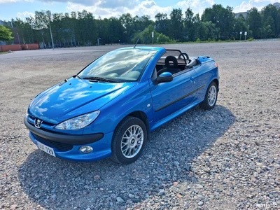Peugeot 206 2003, photo 6/8