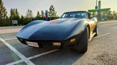 Chevrolet Corvette 1977, kuva 7/24