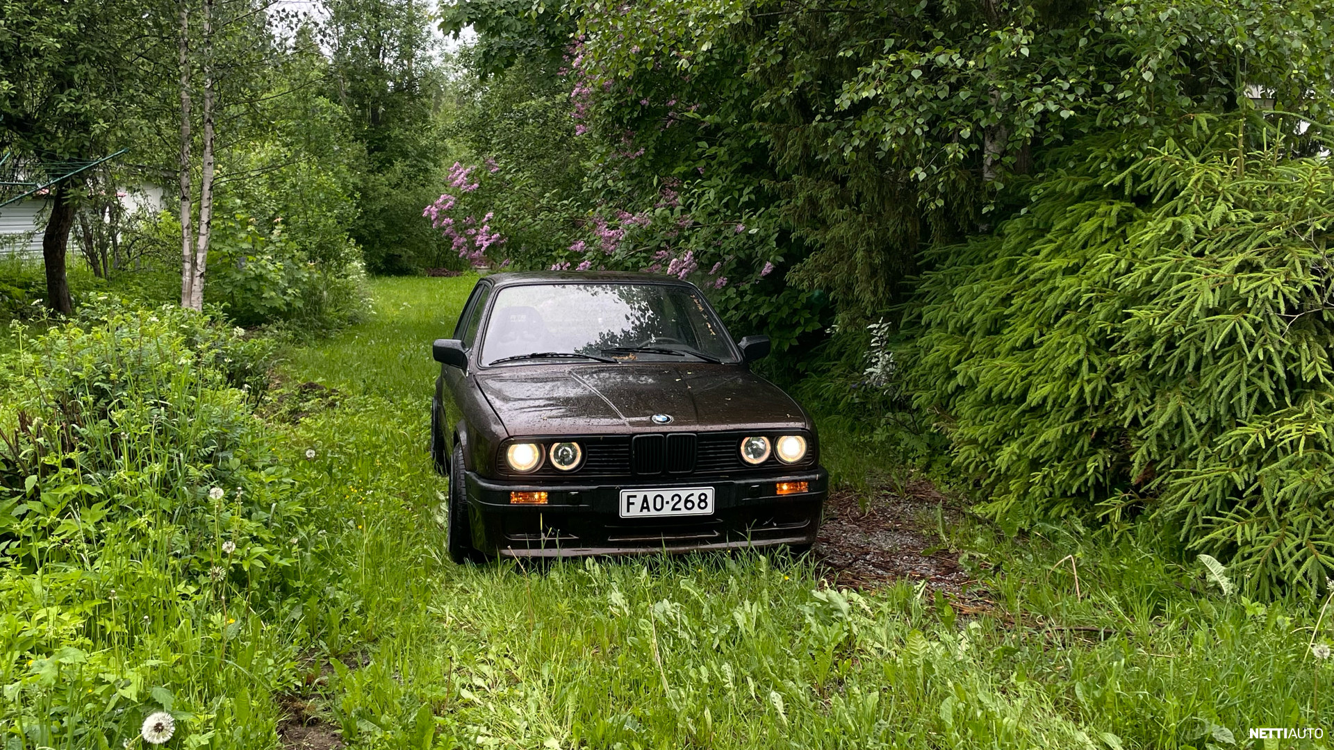 BMW 320