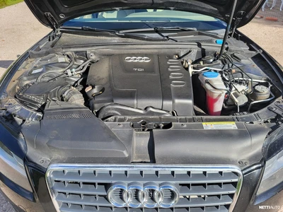 Audi A5 2010, kuva 6/10
