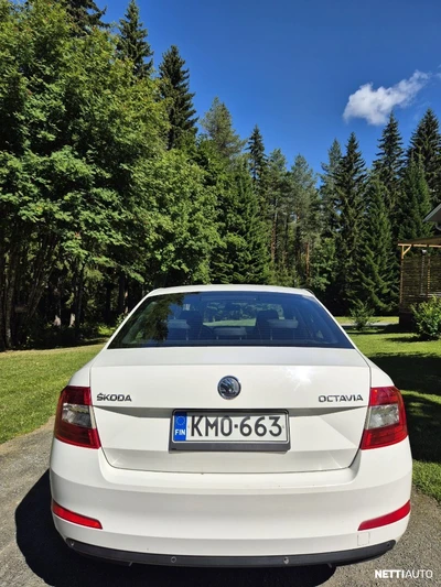 Skoda Octavia 1,4 TSI Ambition 2015, kuva 5/12