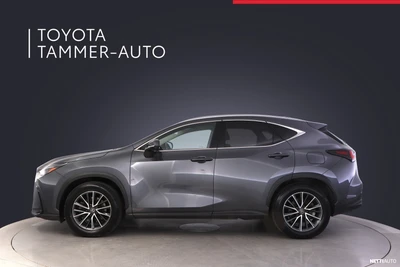 Lexus NX 2024, photo 3/15