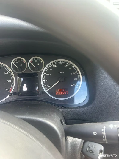 Peugeot 307 2002, photo 7/13