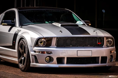 Ford Mustang 2008, kuva 2/27