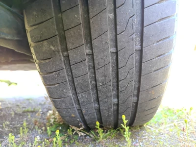 Nissan Primera 2009, photo 3/8