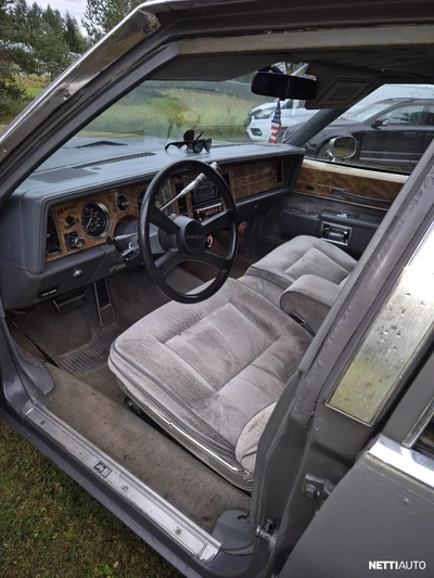Buick Electra 1988, photo 5/6